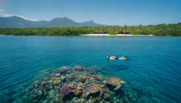 découvrez où et comment nager avec les tortues en guadeloupe, pour une expérience inoubliable au cœur de la nature tropicale.